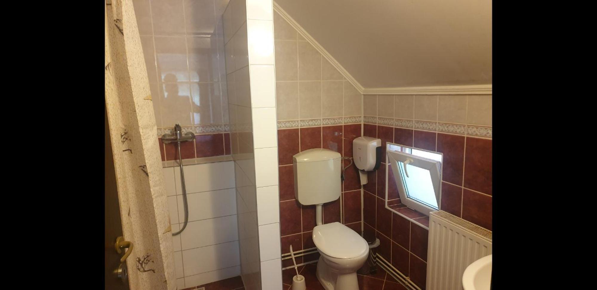 Vila Brandusa Bran  Ruang foto