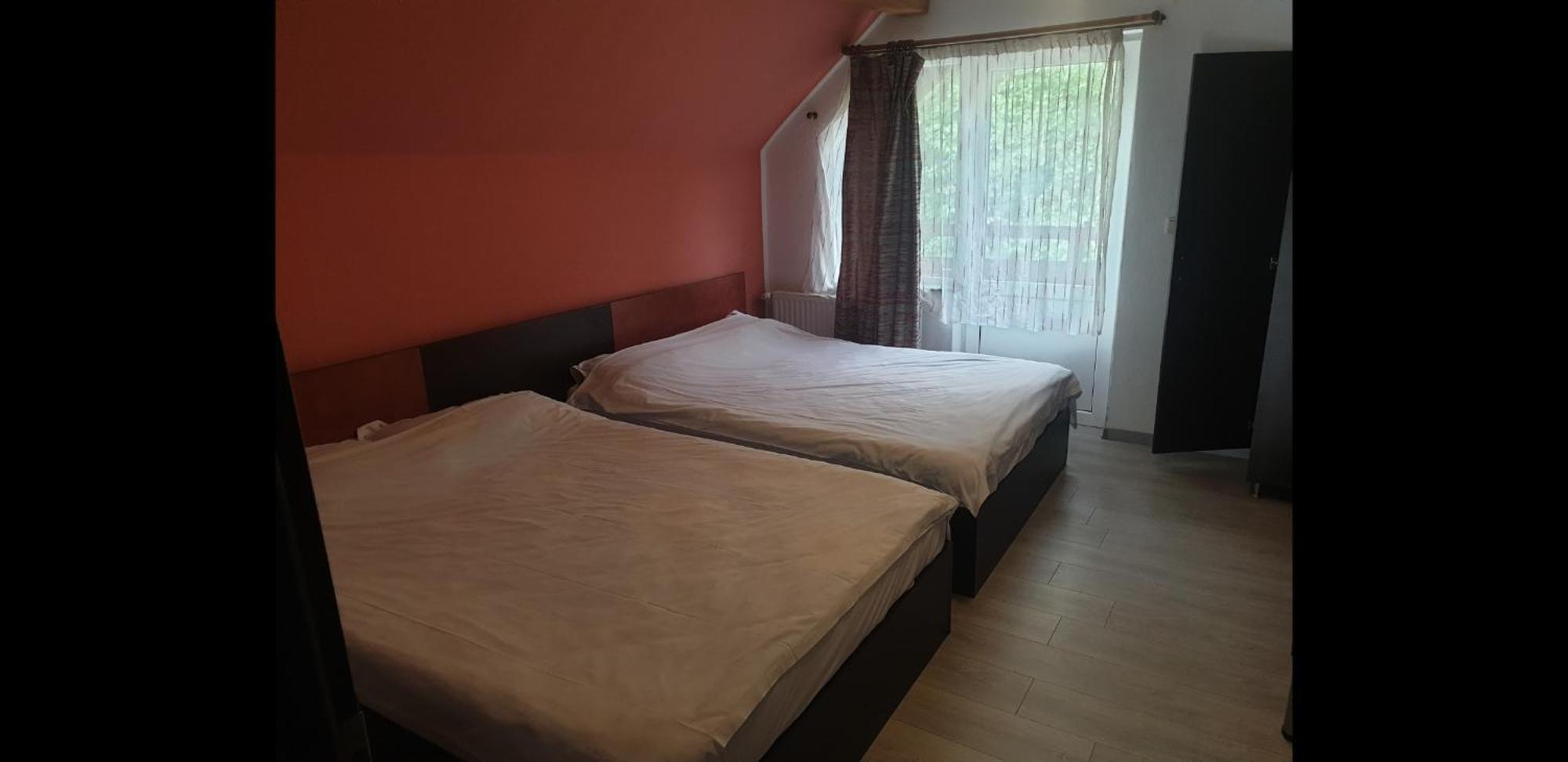 Vila Brandusa Bran  Ruang foto
