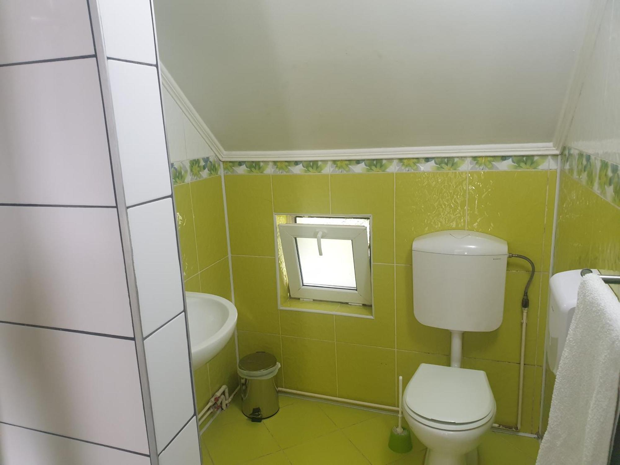 Vila Brandusa Bran  Ruang foto